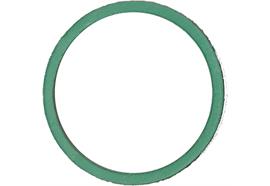 Guarnizione per Flexitube 2" ø 55 x 48 x 2 mm